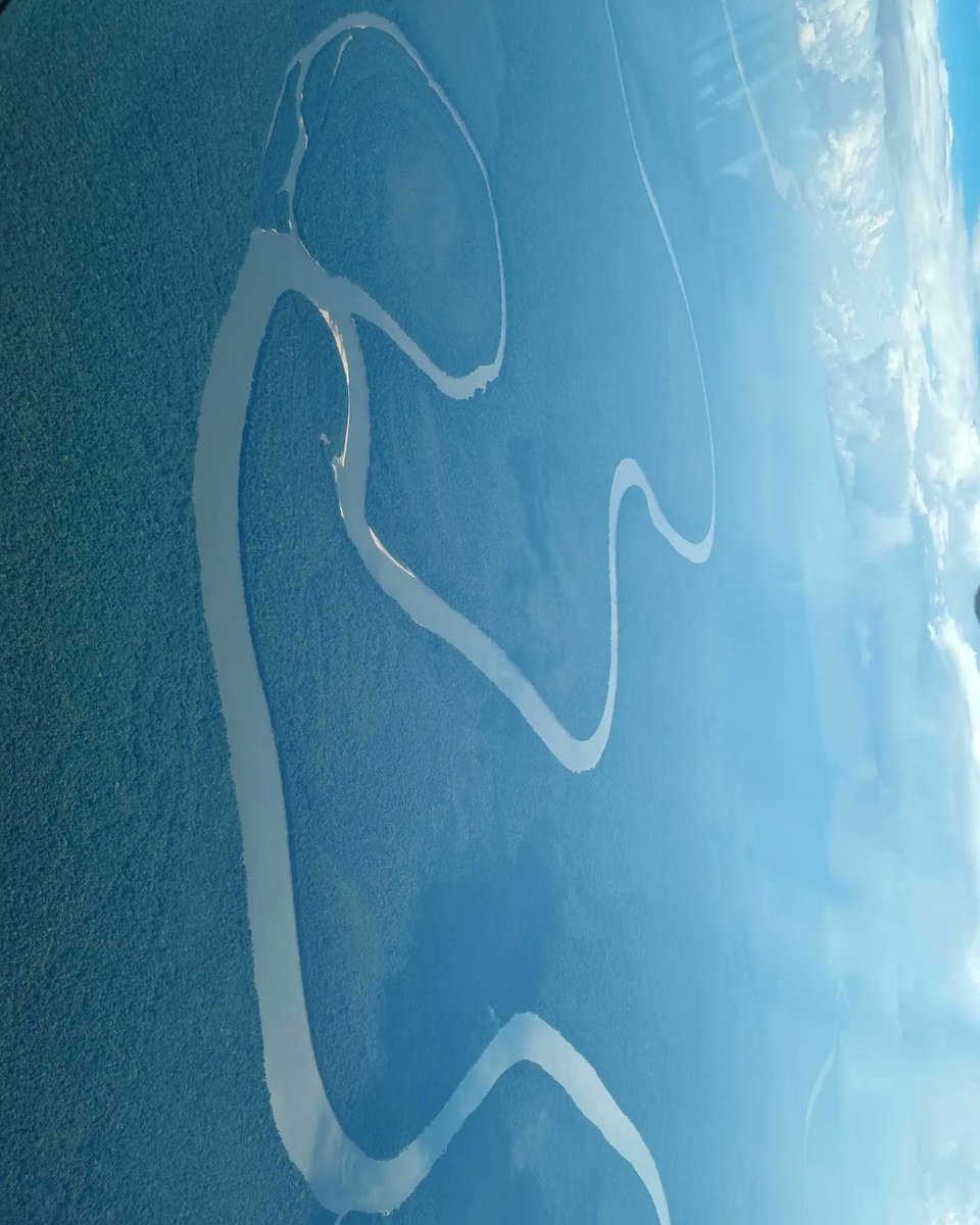 En medio de tanto horror y sufrimiento, el mundo todavía es generoso y lleno de belleza. La Tierra —con sus texturas, colores, formas y olores— todavía nos sostiene y nutre. Nos enseña sobre el cuidado, la complementariedad entre seres, la humildad y la reciprocidad. 🌳💦