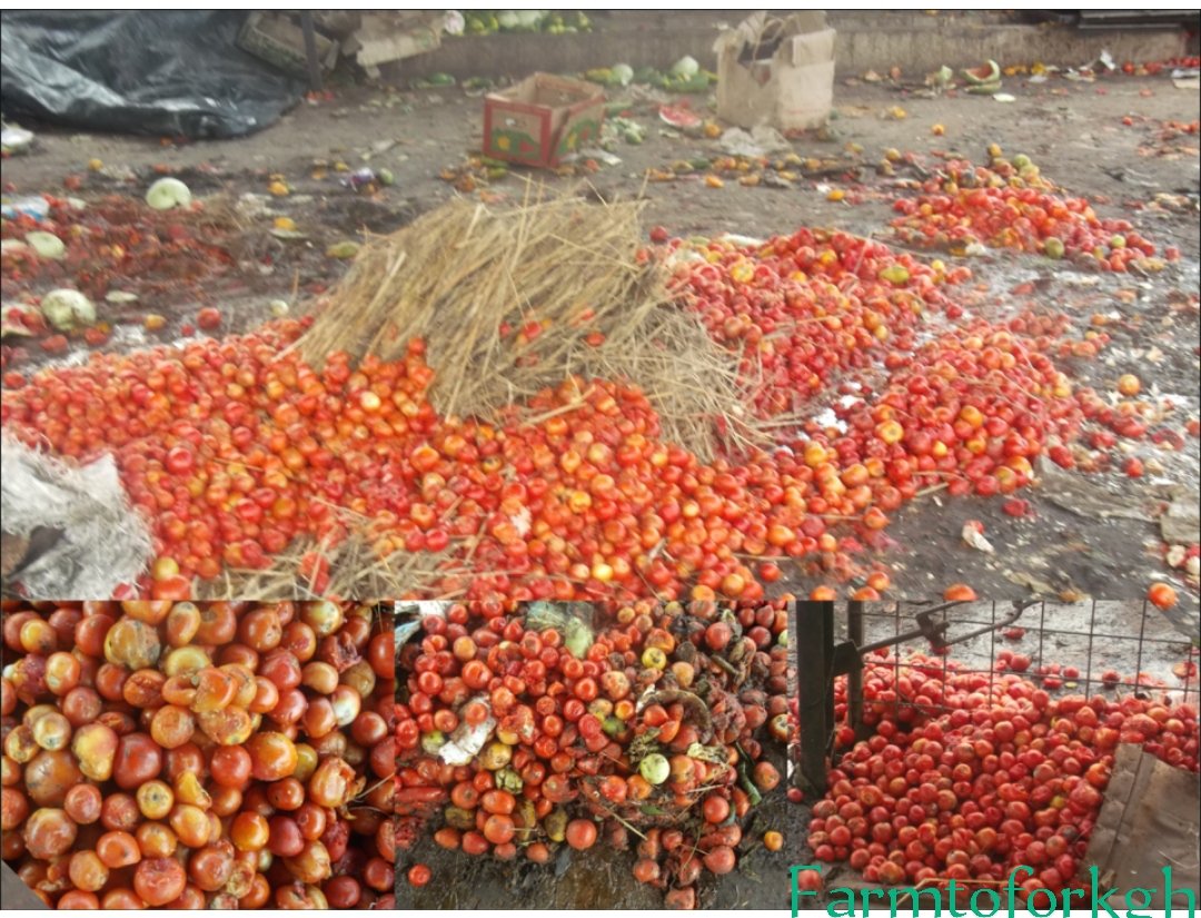 FarmToForkgh's tweet photo. Post-harvest losses cost Ghanaian farmers 20% to 50% of their produce, which is estimated to be worth $1.billion a year.
As a result, farmers earn less money, which drives the majority of them into poverty and hinders national initiatives to guarantee food security. https://t.co/tPk0PiX0Gi