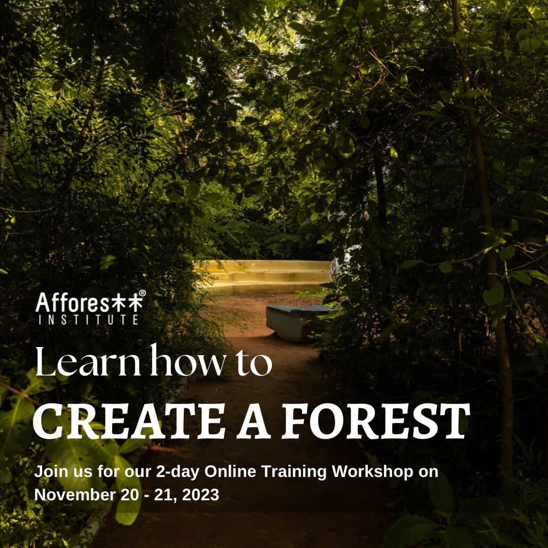 Join us for our 2-day Online Training workshop on 20th- 21st November,2023 (6 PM to 10 PM, IST) With a focus on adapting the Miyawaki methodology of afforestation. Fee:- INR 35,000/USD 500 The session will be conducted via zoom. #onlinetraining #forests #afforestt