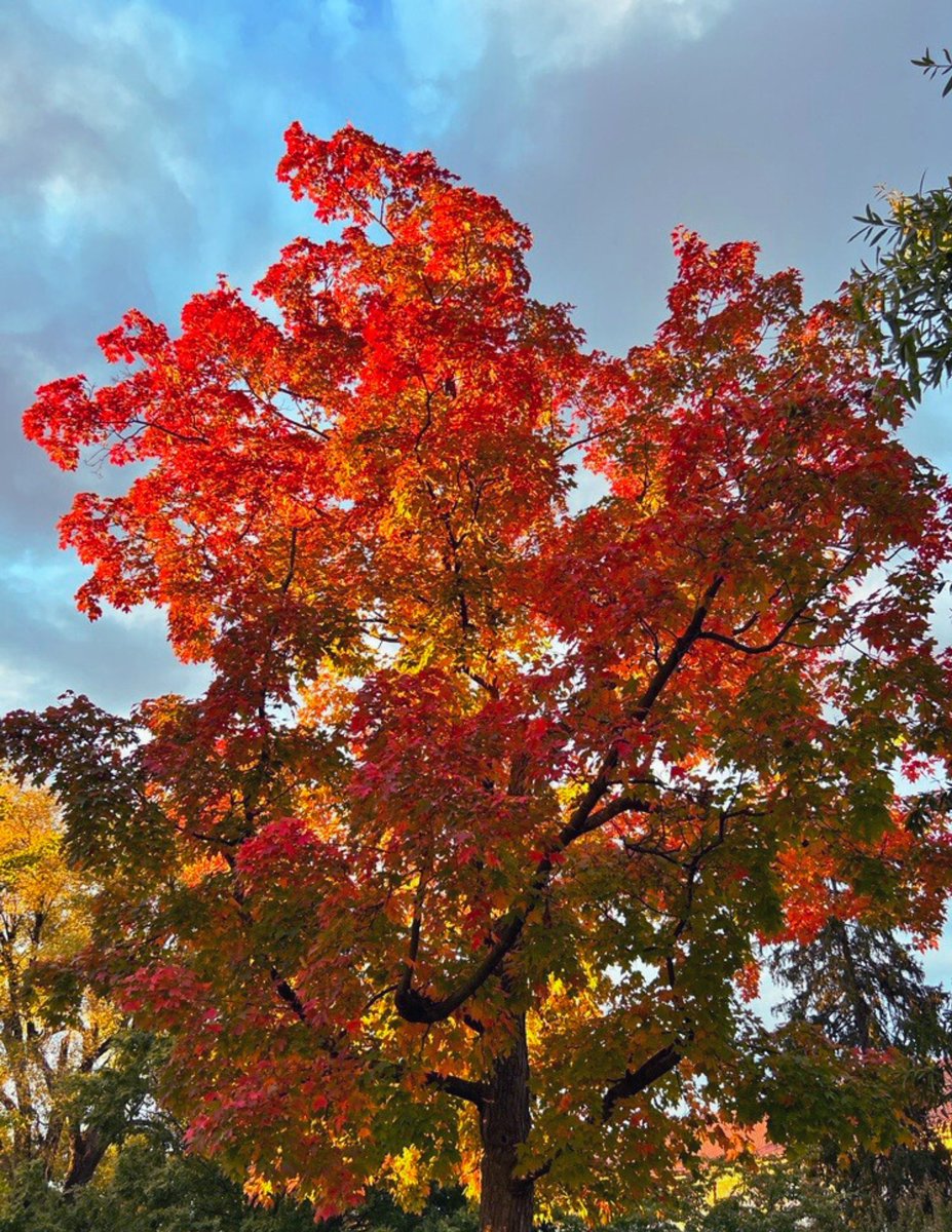 JMU Information Technology tweet media