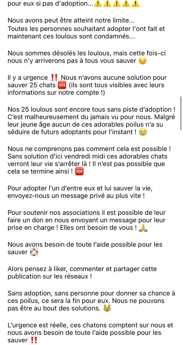 🇫🇷🐈 L’association Urgences Fourrières Bretagne a lancé un appel urgent sur #Instagram. Saturée, elle cherche des familles adoptives pour 20 chats afin de les sauver de l’euthanasie. 👉 Pour adopter, vous pouvez contacter l’association en DM.