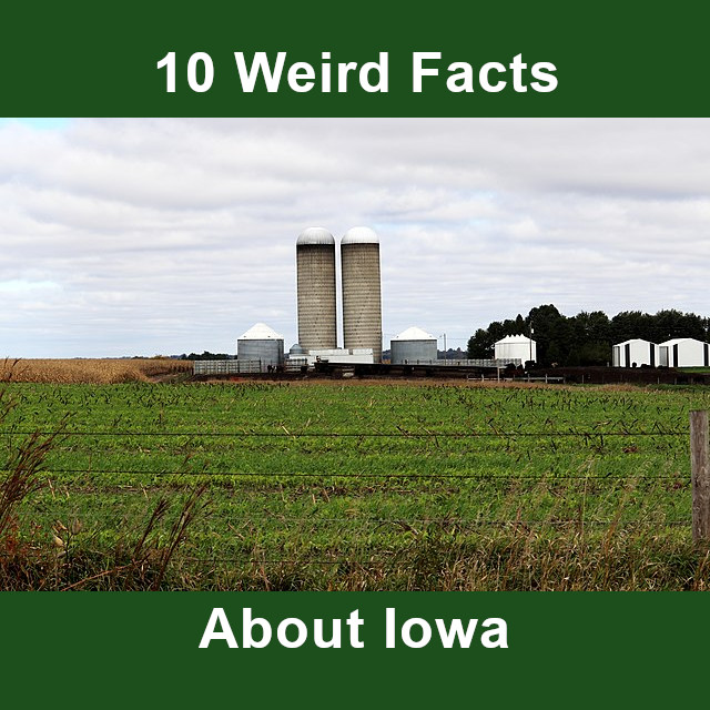 Discover 10 weird facts about Iowa at oddfactfinder.com/iowa (#Iowa, #USHistory, #IowaMap, #IowaGeography, #IowaHistory, #DesMoines, #Dubuque, #DubuqueIowa, #DesMoinesIowa, #CedarRapids, #CedarRapidsIowa)