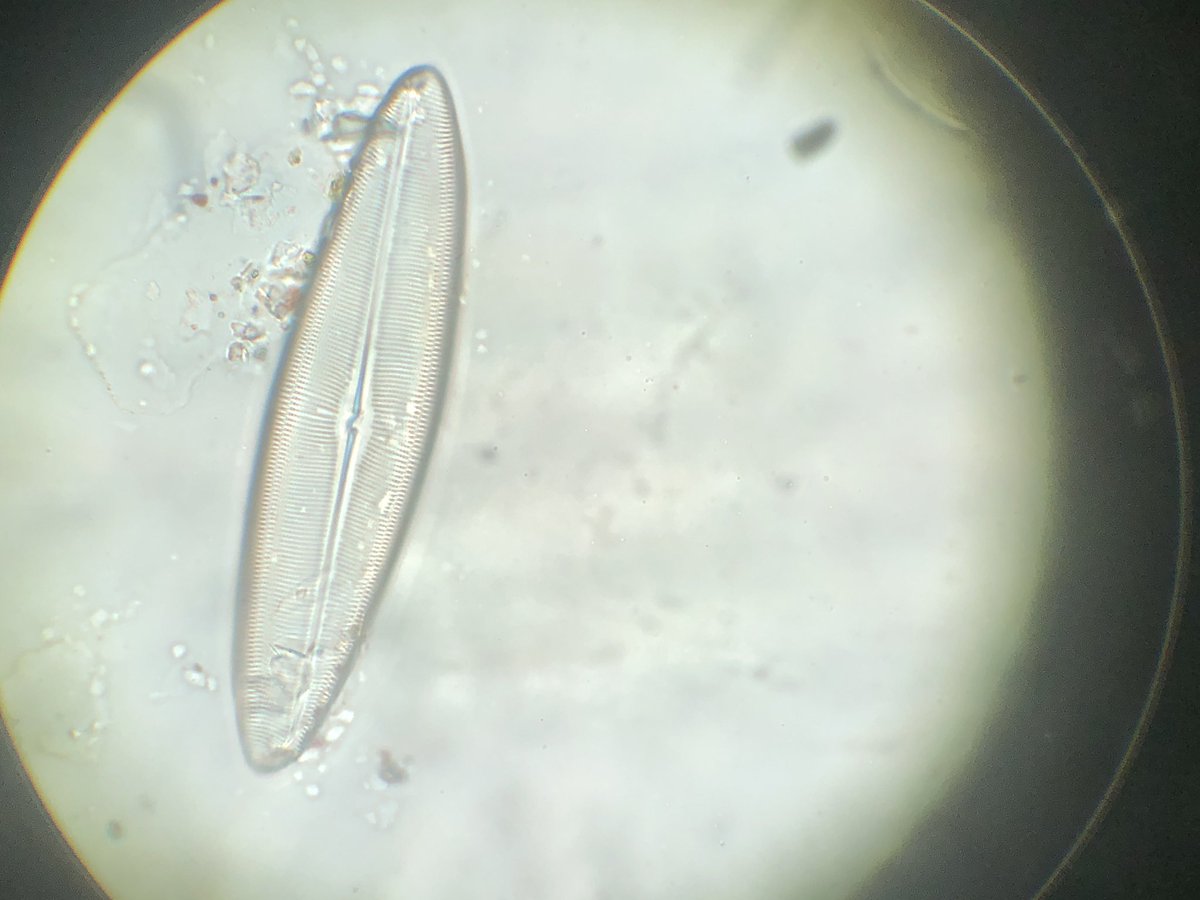 Amy (she/her) tweet media