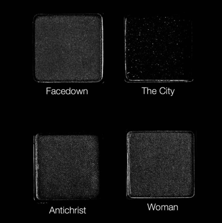 𓃠 tweet media