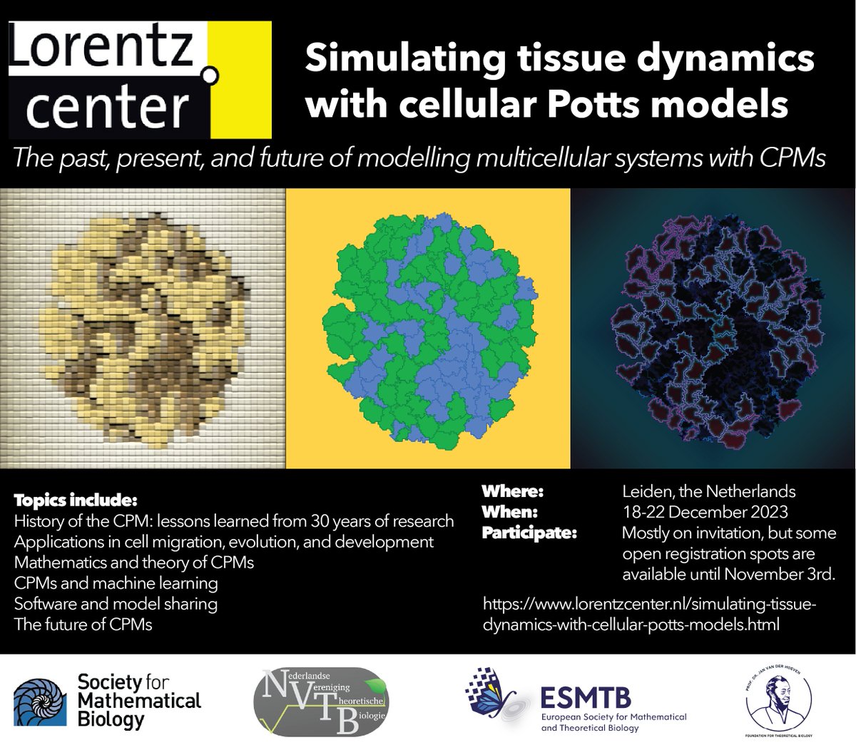 Roeland Merks (@roeland_merks) on Twitter photo From December 20-24th, we will be organizing a <a href="/lorentzcenter/">Lorentz Center</a> workshop on the occasion of >30 years cellular Potts models, since the first publication by <a href="/JamesAGlazier1/">James A. Glazier</a> and François Graner. Please come join us! lorentzcenter.nl/simulating-tis…. Please RT! From December 20-24th, we will be organizing a <a href="/lorentzcenter/">Lorentz Center</a> workshop on the occasion of >30 years cellular Potts models, since the first publication by <a href="/JamesAGlazier1/">James A. Glazier</a> and François Graner. Please come join us! lorentzcenter.nl/simulating-tis…. Please RT!