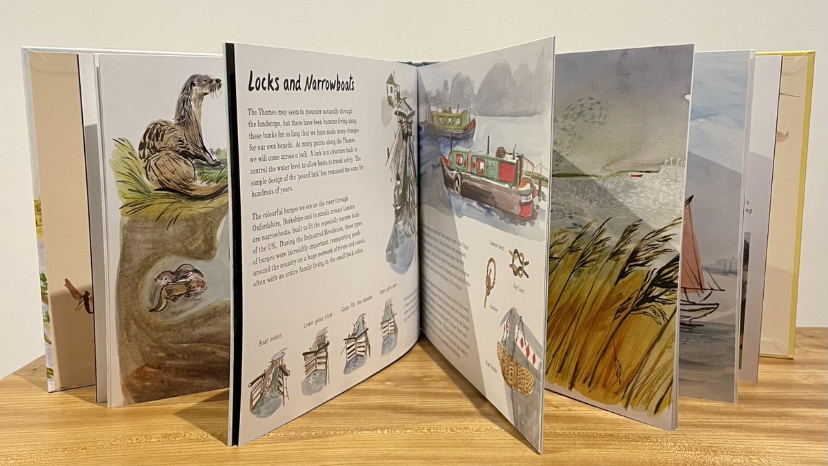 You'd like a look inside, you say?  
We say, absolutely! It's quite a view! 

LIFE ON THE THAMES by @EmmaShoard out today!
#BookBirthday #LifeontheThames #PublicationDay
#conservation #environment #wildlife #greenreads