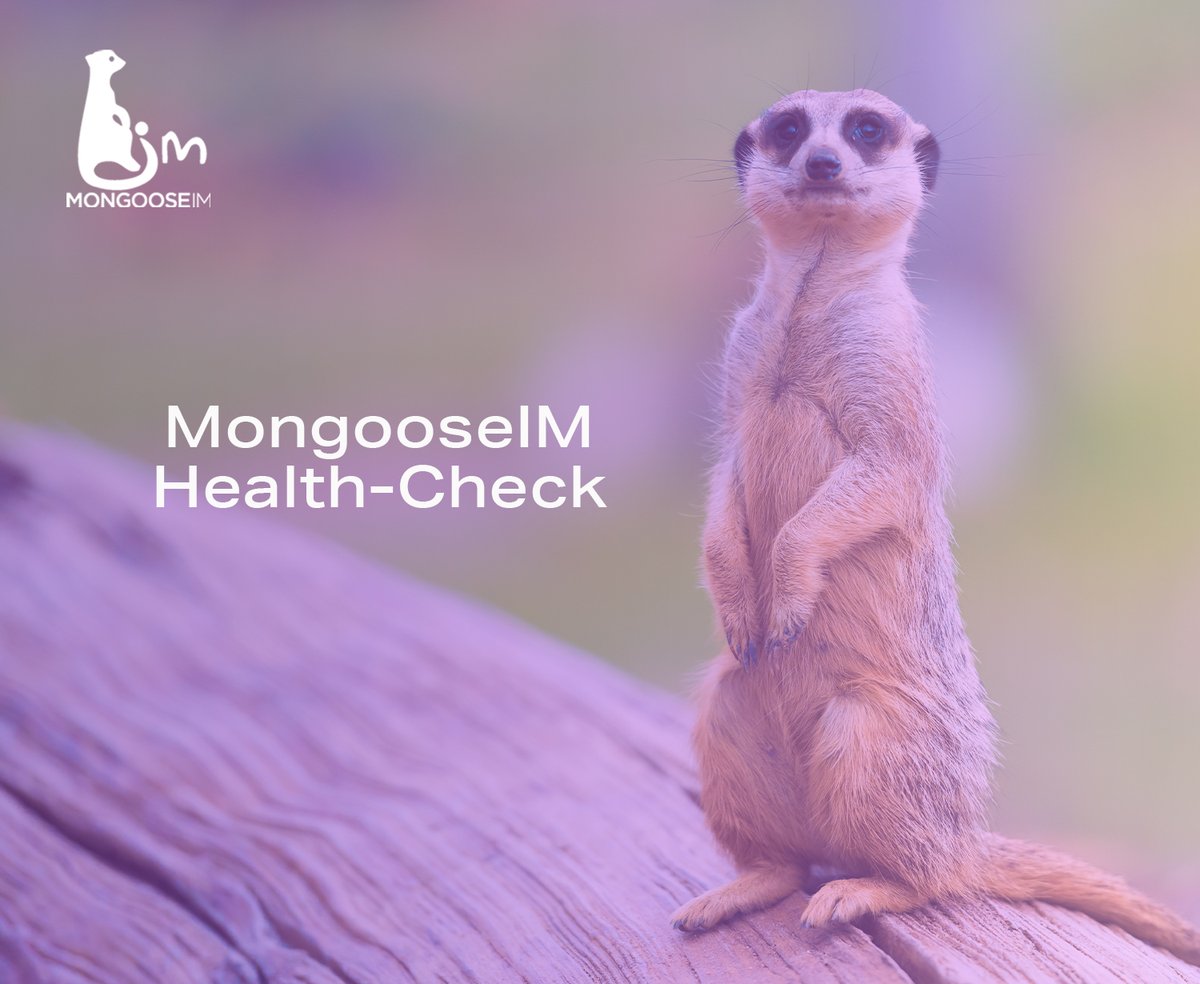 ErlangSolutions's tweet image. 🚀 Exciting News! 🚀  
Your MongooseIM deserves the best care. 

Introducing the MongooseIM Health  Check from Erlang Solutions.🏥 Optimise your messaging environment for peak performance. 

🚀  Learn more: erlang-solutions.com/blog/mongoosei…  #MongooseIM #HealthCheck #ErlangSolutions…