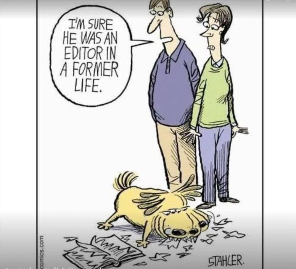 PThomas_Author's tweet photo. #editor #editing #writers #WritingCommunity #authors #AuthorsOfTwitter #SpinnerOfYarns #DancesWithWool https://t.co/79eMbzMiql
