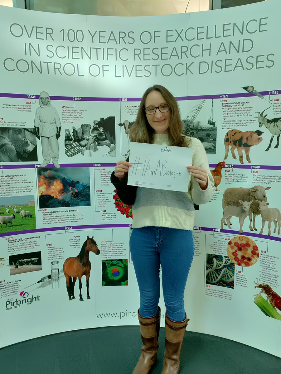 It's @RoyalSocBio #BiologyWeek! 🦠 NVRL Postdoc, Dr Newbrook, outlines her work 👇 @Pirbright_Inst 🗣️ 'I explore immune responses to #orbivirus infection in cattle + sheep to improve our diagnostic tests + identify targets to improve future vaccines' 🐮🐑 #IAmABiologist @BBSRC