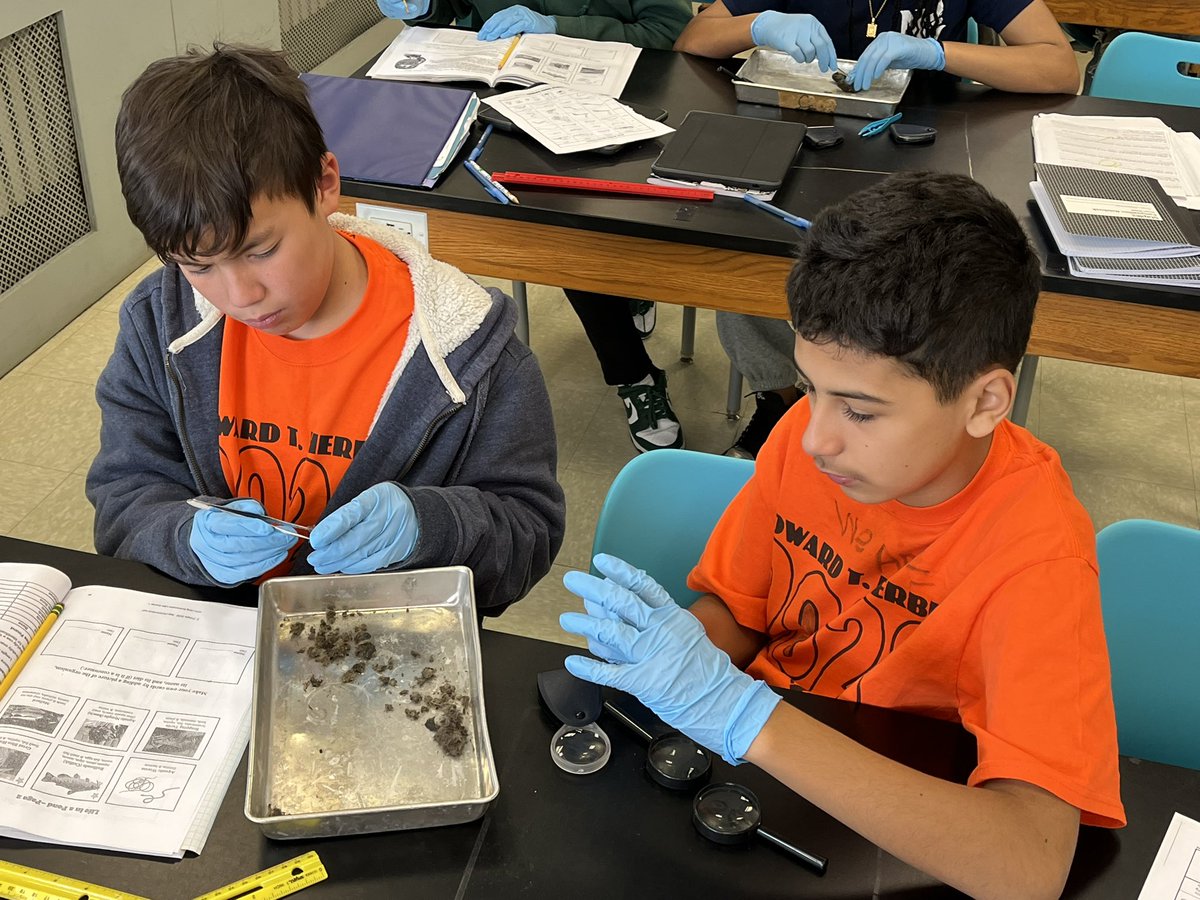 Shannon E. Kelly tweet media