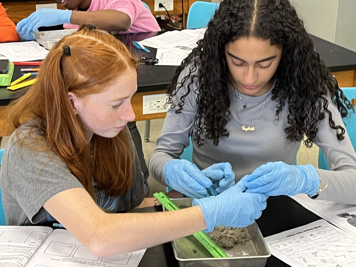 Shannon E. Kelly tweet media