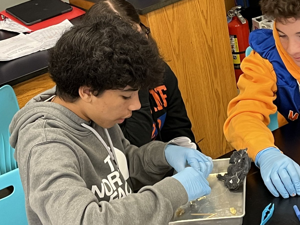 Shannon E. Kelly tweet media