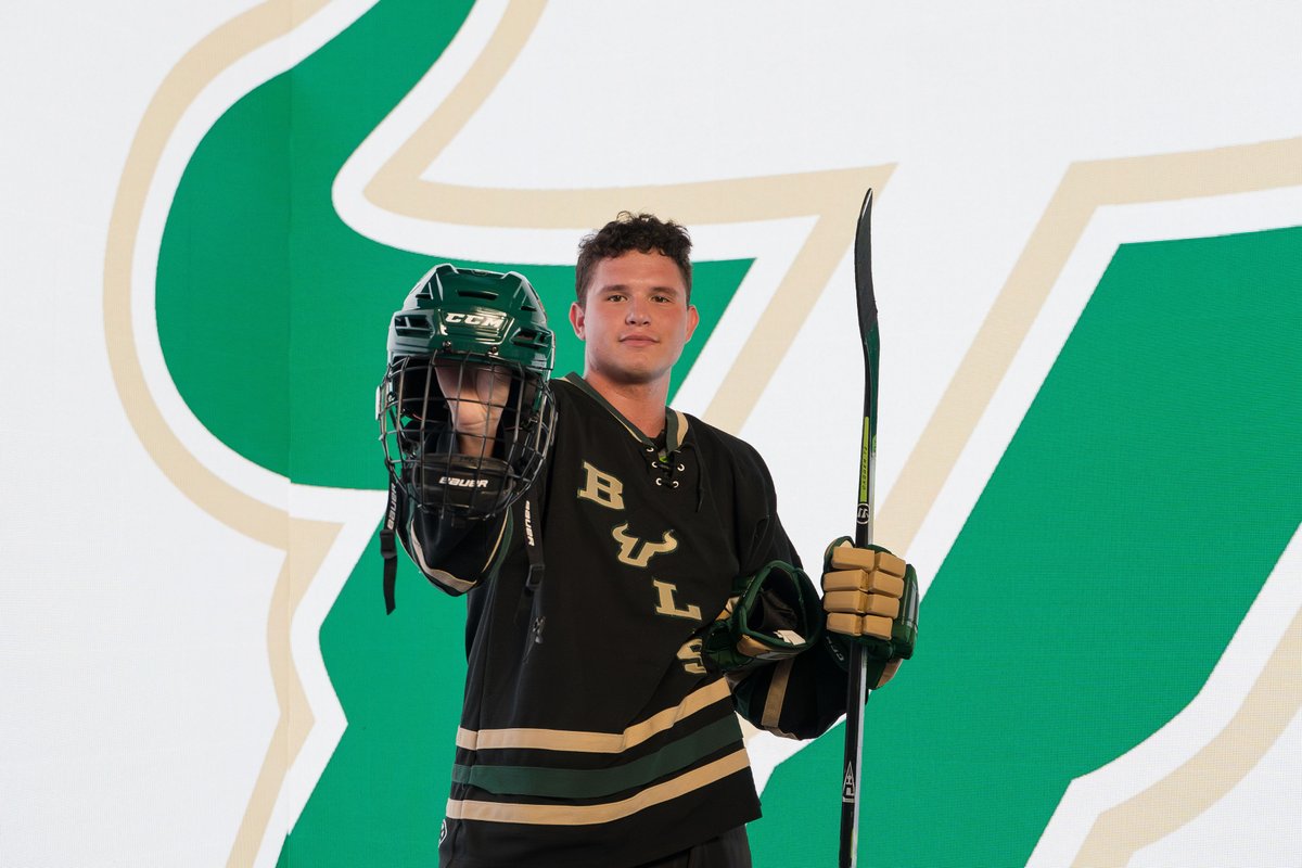 College Hockey South tweet media