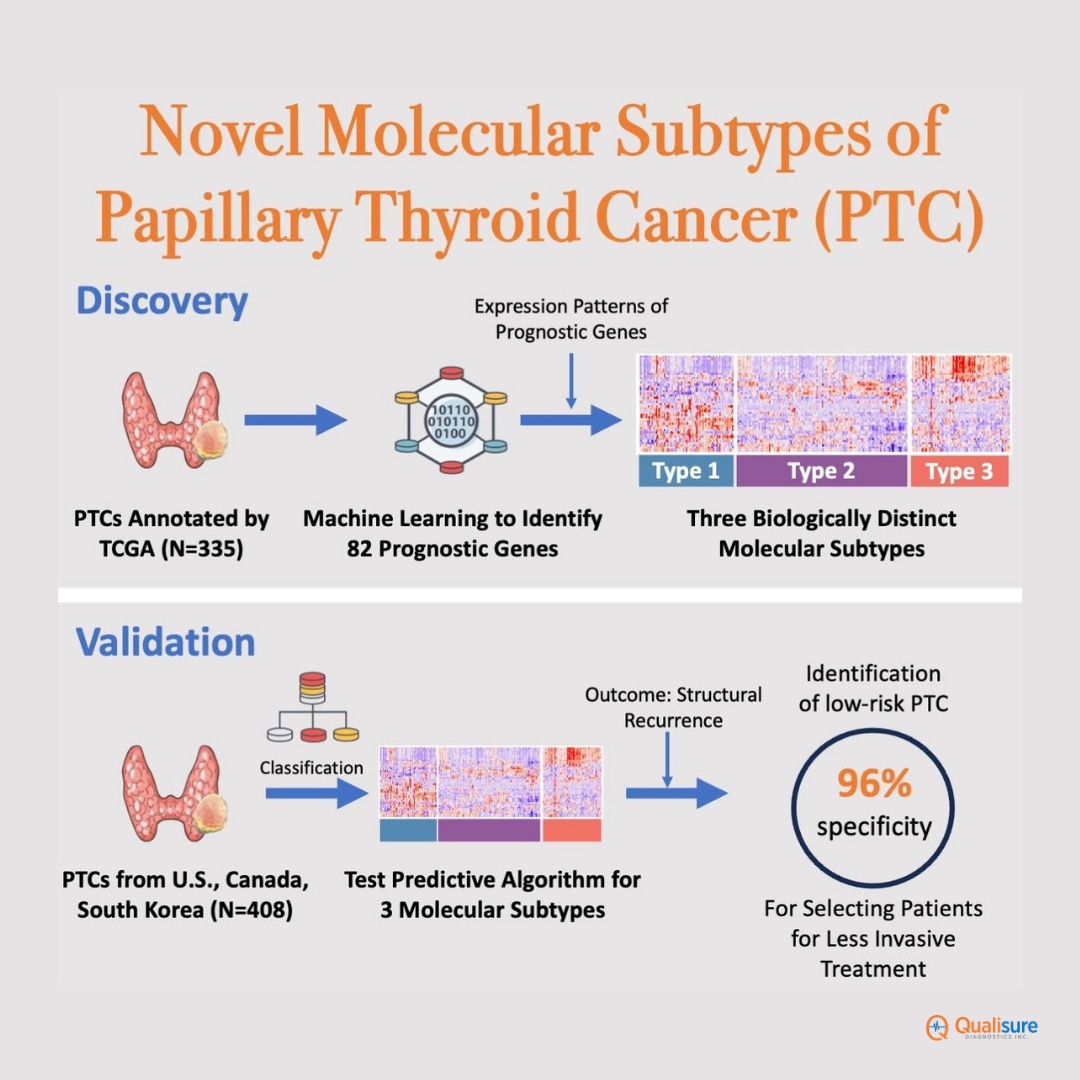 QualisureDx's tweet photo. We are pleased to share the publication of our study on 742 #PapillaryThyroidCancer patients. This is the basis for #ThyroidGuidePx®, our new #MolecularTest that accurately determines the risk of recurrence. ⁠

Link here:
https://t.co/HMlFQxOOq1 

#MedTwitter #EndoTwitter #ThyCa https://t.co/GwI1rYWxvv