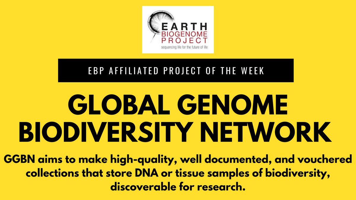 Learn more about this wonderful project here data.ggbn.org/ggbn_portal/