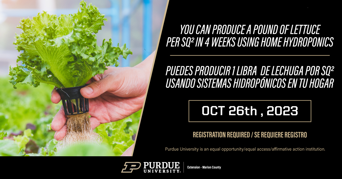 Join us Thursday, October 26th for Bilingual (English/Spanish) Hydroponics workshop, we will have our NEPA Patty Sanders who will be translating to Spanish and give us a cooking demonstration with our harvest greens.
purdue.ca1.qualtrics.com/jfe/form/SV_0M…