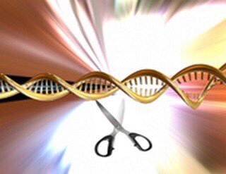 Cutting Edge Biotechnology coming to Stanborough! The ABE programme commencing on 3rd November for a fortnight will enable our A -Level students to use specialised equipment to clone genes with a full sequence of laboratory-based lessons. <a href="/Amgen/">Amgen 🧪🔬🧬</a>