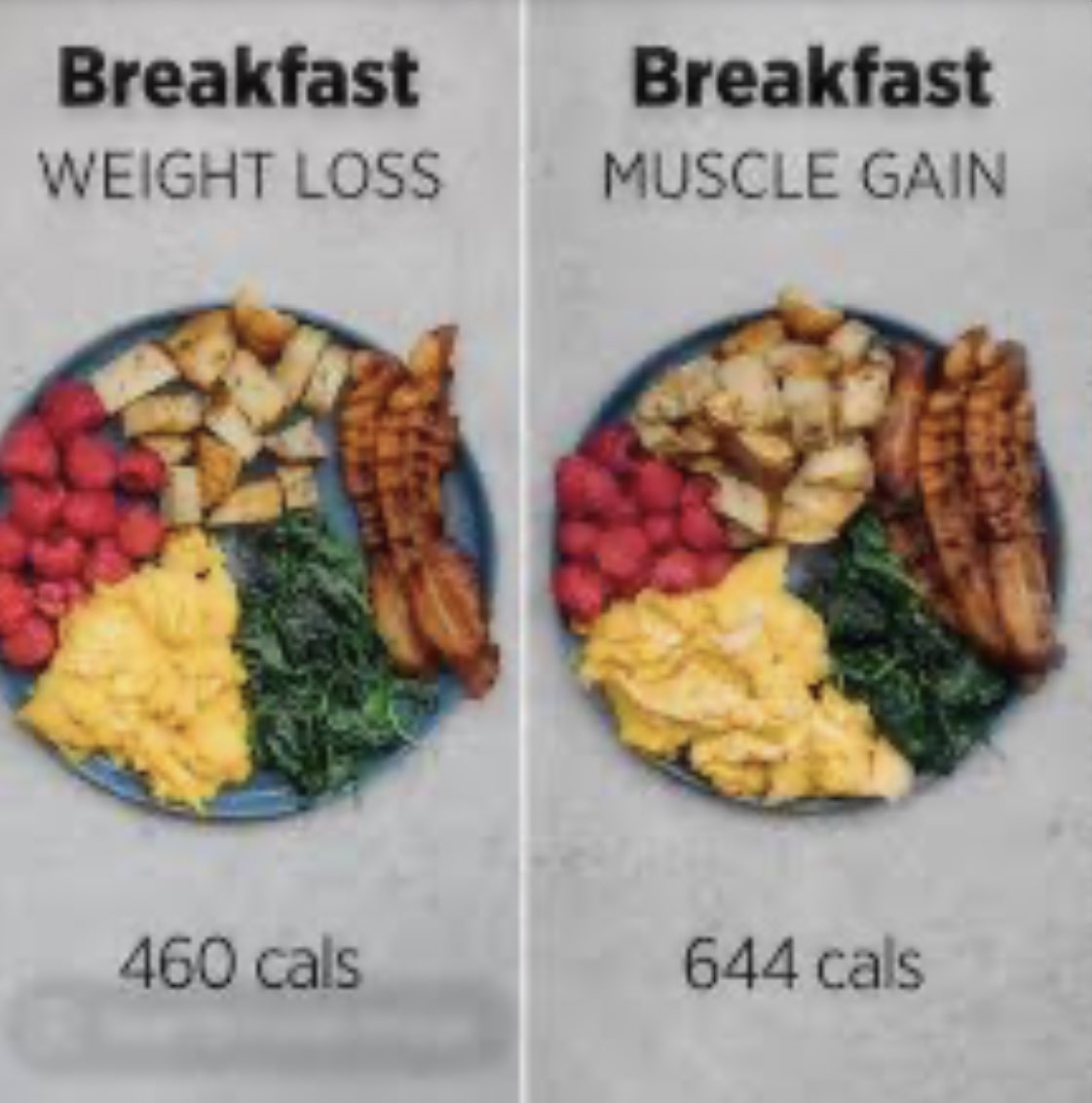 Jon_Jonethen's tweet photo. @FitnessOlympia0 https://t.co/ETdaH0KwSG