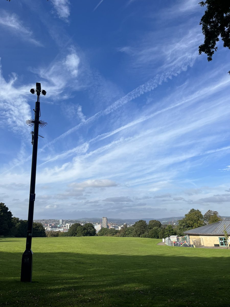 Shef Park Project tweet media