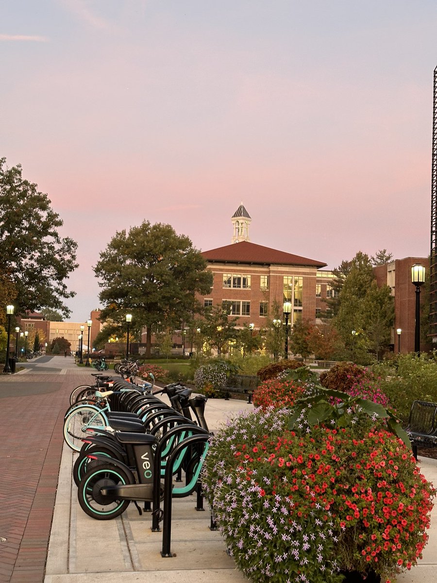 U.S. WIN tweet media