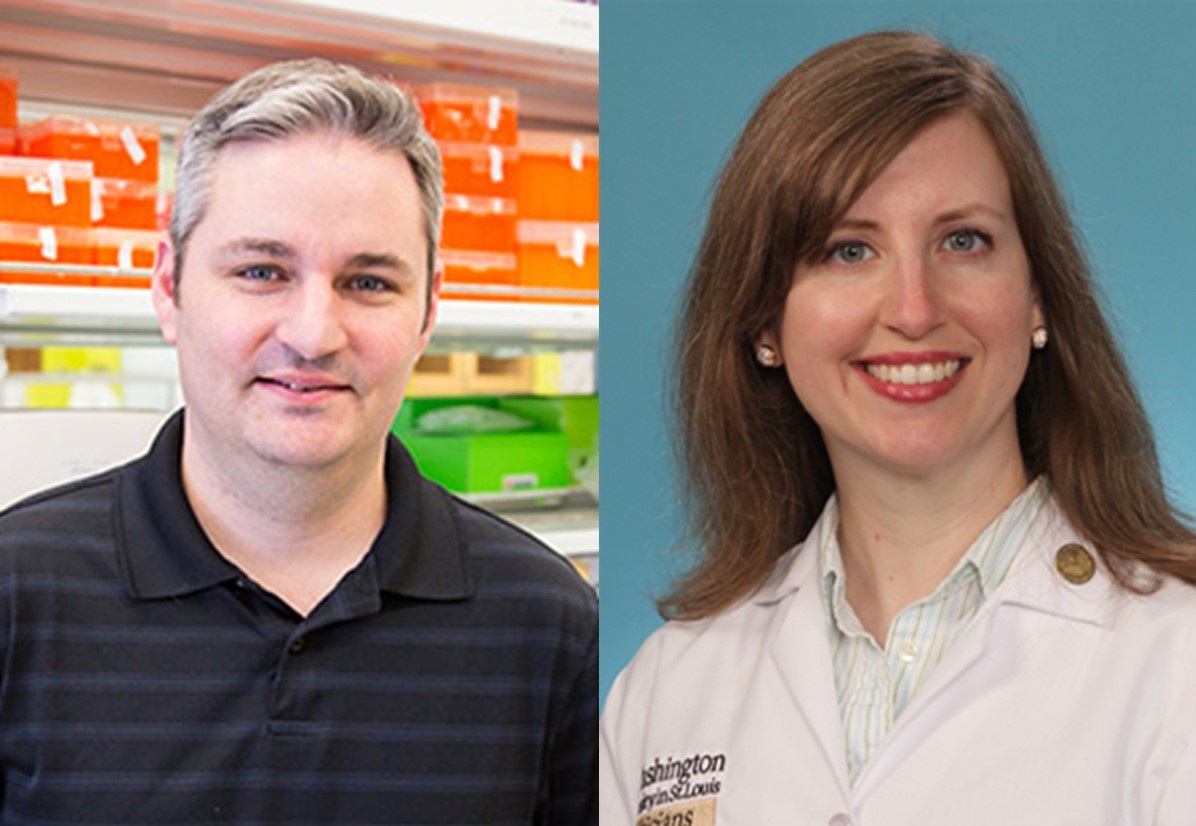 Siteman researchers receive $10.9 million NCI SPORE grant for pancreatic cancer
<a href="/DeNardoLabWUSM/">David DeNardo WUSM</a> <a href="/DrKatePedersen/">Katrina Pedersen, MD, MS</a>
<a href="/WashUSurgery/">WashU Medicine Department of Surgery</a> @WashUOnc @WUDeptMedicine <a href="/SitemanCenter/">Siteman Cancer Center</a> 
#PancreaticCancer #WashUMed

source.wustl.edu/2023/10/pancre…