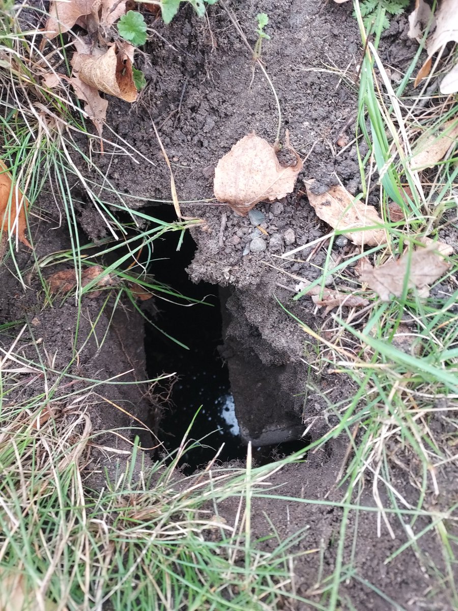 Cubed_B_LLC's tweet photo. Why are septic inspections important? Because they can be dangerous; the lid of this septic tank had cracked &amp; and broken, making for a very dangerous situation. The owner didn't realize it was this way. This is at a small resort where curious kids could be playing. https://t.co/vuSPI5yYYE
