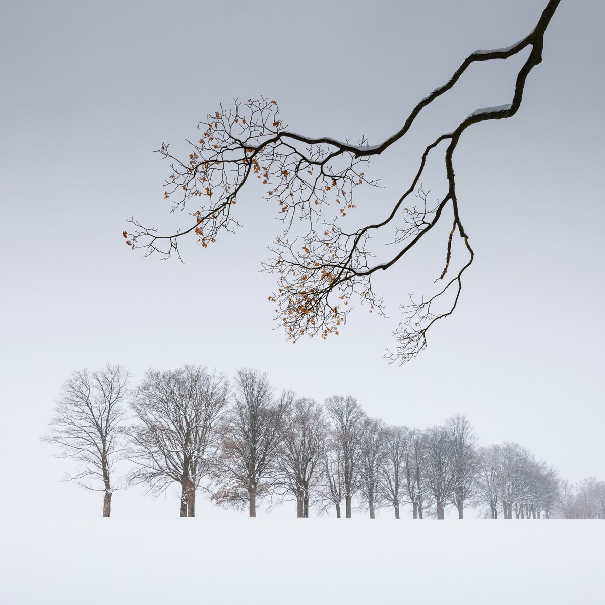 Enter your striking shots into the world's leading photography competitions FOR FREE to win incredible prizes: bit.ly/SWPA-OPEN

© Martin Rak, Czech Republic, Shortlist, Open Competition, Landscape, Sony World Photography Awards 2023

#photocontest #photocompetition
