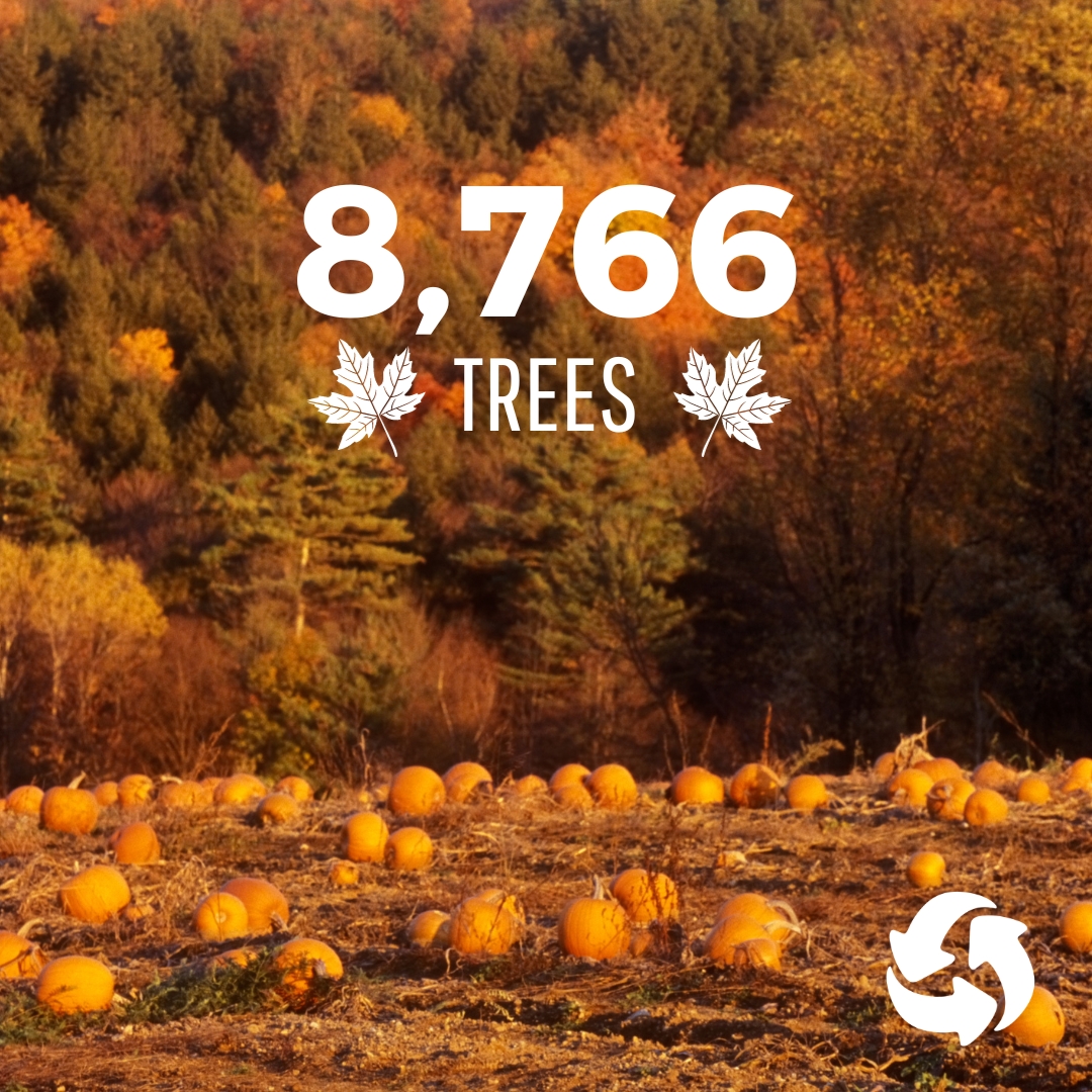 Greenzone Facilities Management Services tweet media