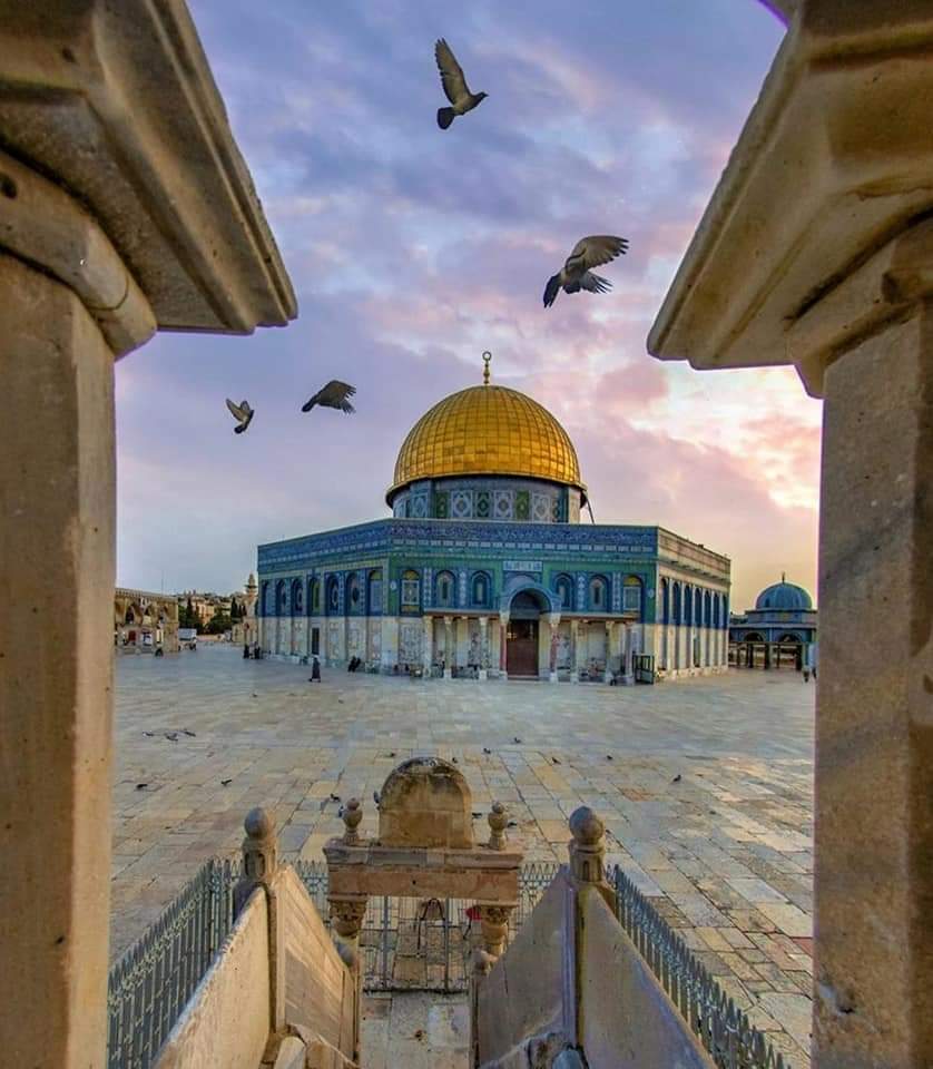 لك الله والجنة يا فلسطين 🇵🇸👑✌
#القدس_عاصمة_فلسطين 👑🇵🇸✌