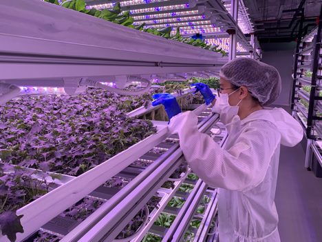Vertical Farm Daily tweet media