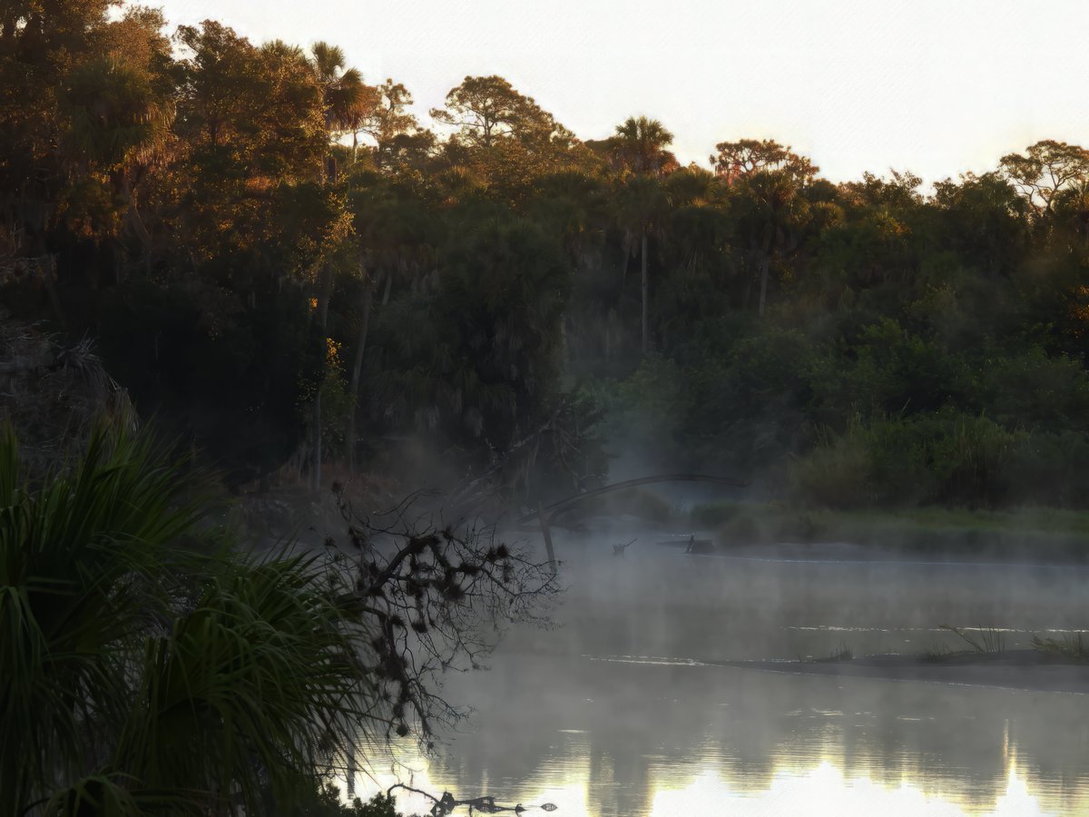 riverguy47's tweet image. Foggy river morning