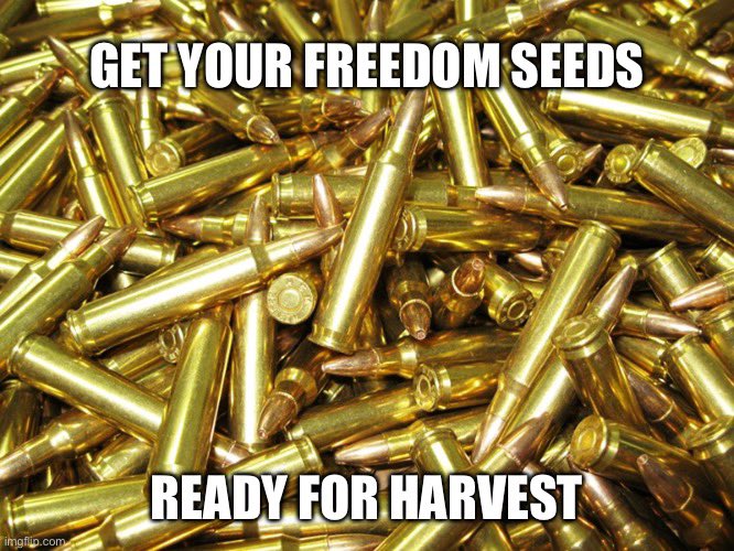 MAGA_407's tweet photo. @TrumpGirlLove Stick to your guns, you’re gonna need’em. #2ACC https://t.co/uIKPPBFbbX