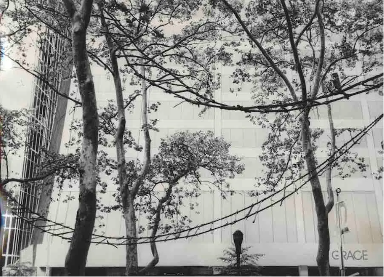 Madre Kids | Laboratorio "Per fare un ponte" 
Domenica 22 Ottobre ore 12

Un laboratorio didattico rivolto ai bambini tra i 6 e i 12 anni il cui tema si ispira alla mostra di Kazuko Miyamoto.

Info e prenotazioni: bit.ly/46AYJ8D