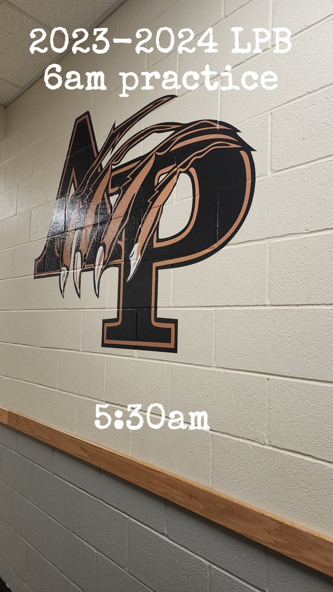 LadyPantherBasketball tweet media