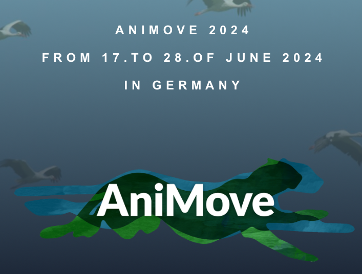 We are happy to announce that our next intensive, non-profit #SummerSchool will take place from 17. - 28. of June 2024 in Konstanz/Radolfzell, Germany. 
Applications can be send from the 15th of November via animove.org