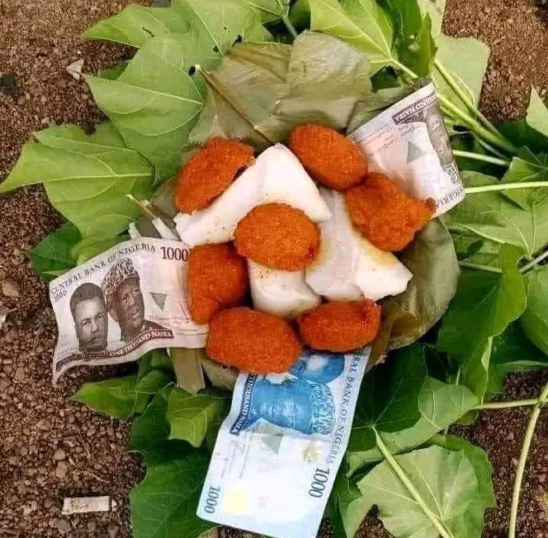 SmdKingNation's tweet photo. Let assuming you saw this in front of your gate, what’s your next move? @swayreport https://t.co/xUVsSSxJRP