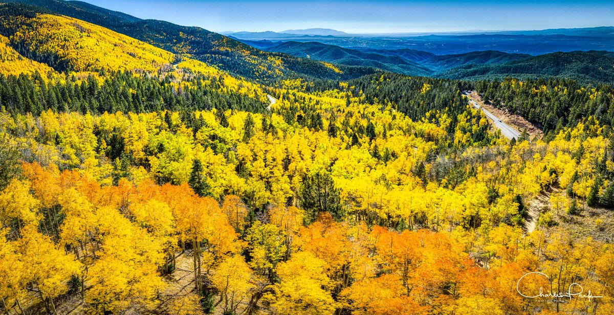 CharlesPeekWX's tweet image. The aspens were amazing with their fall color on Sunday in New Mexico's Santa Fe National Forest. This pano picture taken from my drone really showed off the beauty. @weatherchannel @JimCantore @JenCarfagno #fallcolor #GetIntoTheOutThere @NewMexico