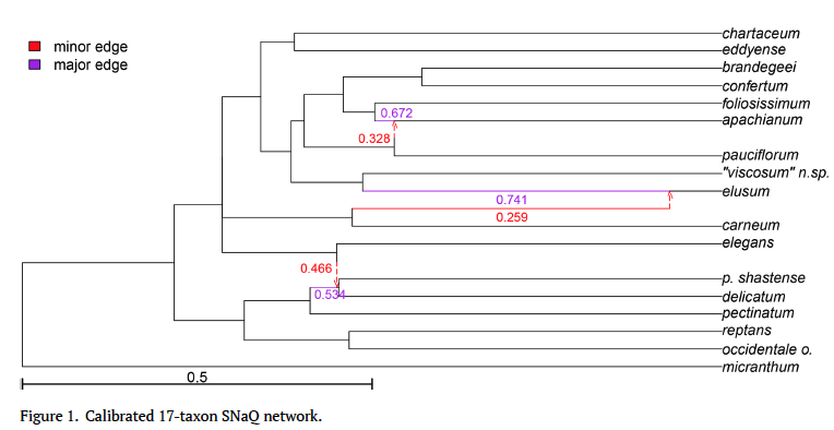 A new paper by Benjamin Teo and colleagues has been published in the SSB Bulletin ssbbulletin.org/index.php/bssb…. The article explores how intraspecific variation in a continuous trait can be modeled in a phylogenetic network.