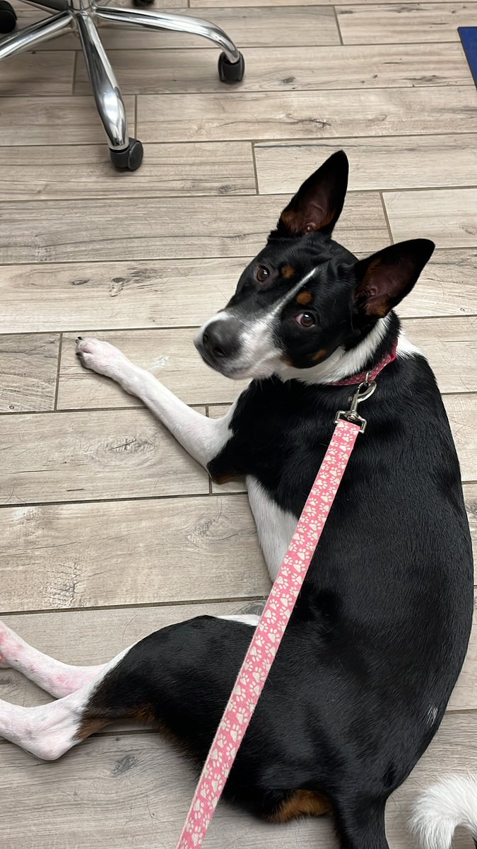 Arielle is OBP tweet media