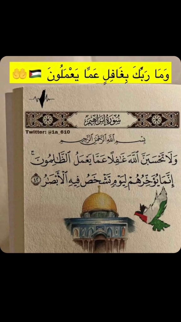 999qf's tweet photo. #غزة_تُباد #فلس��ين_الان https://t.co/fSQrXhvSOK