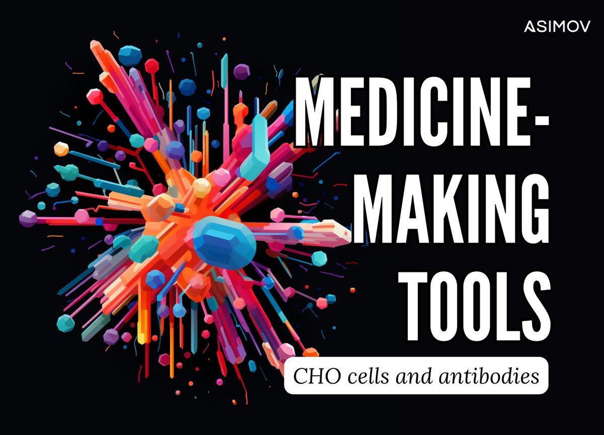 AsimovBio's tweet photo. CHO cells were derived from hamsters smuggled out of China in 1949. Today, they make about 70 percent of all F.D.A. approved biologics sold.

This latest blog describes the synthetic biology and computational tools we've developed to explore “genetic design space” and optimize the amount of medicine CHO cells can make. 

Our tech stack is called “CHO Edge.” We've used it to routinely achieve titers between 6 and 10 grams of antibody (a type of biologic) per liter. In one case, we achieved 11 grams per liter for a 3-chain bispecific antibody, with 85 percent heterodimerization (one measure of quality.) 

Learn more about hamsters and antibodies:

https://t.co/TfN2OkiyOY