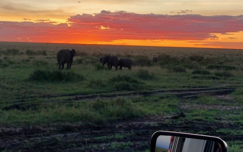 How to get the most out of your tour or safari.
Research and plan
Choose the right tour operator
Pack smartly
Be open-minded
Engage with locals
Respect wildlife &amp; environment
Disconnect from technology
Ask questions
Reflect and journal
Share and inspire others
#kenyasafari