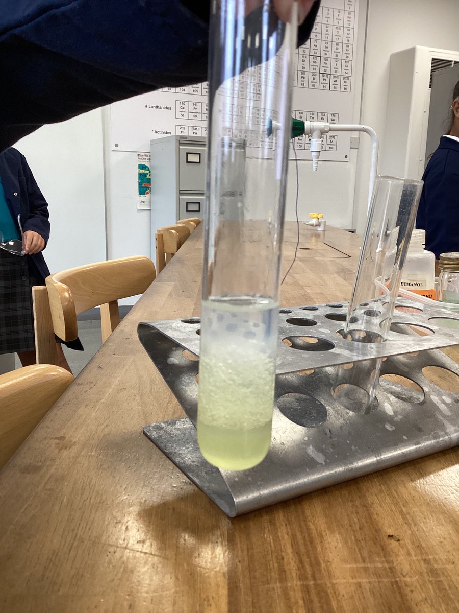 BGSSmartScience's tweet photo. #BGSYear6 extracting DNA from kiwi as part of our forensic investigation #BGSScience #BGSInquirers https://t.co/cCGwFBg2vK