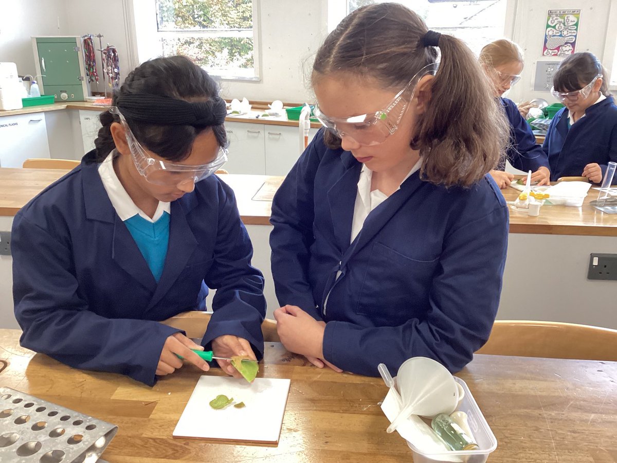 BGSSmartScience's tweet photo. #BGSYear6 extracting DNA from kiwi as part of our forensic investigation #BGSScience #BGSInquirers https://t.co/cCGwFBg2vK