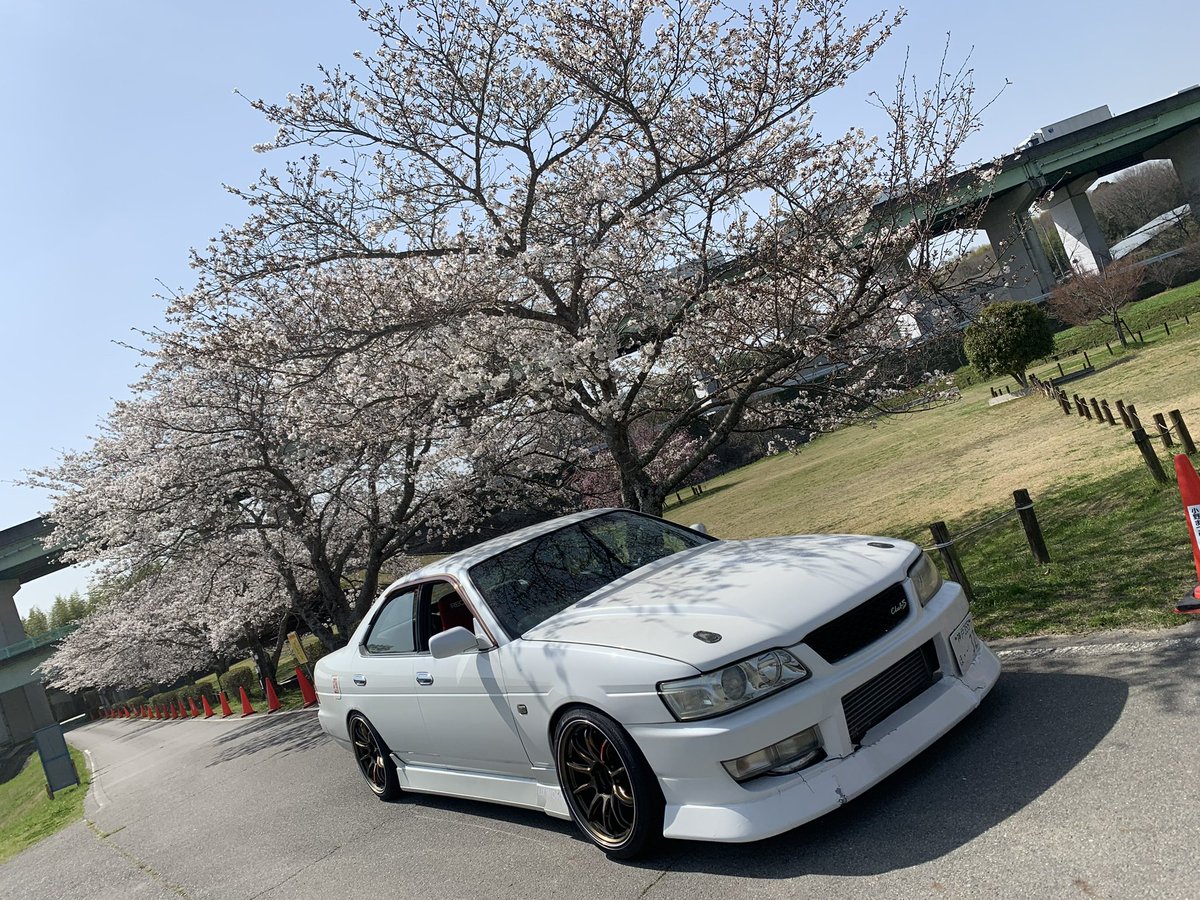 S i o ☆ tweet media