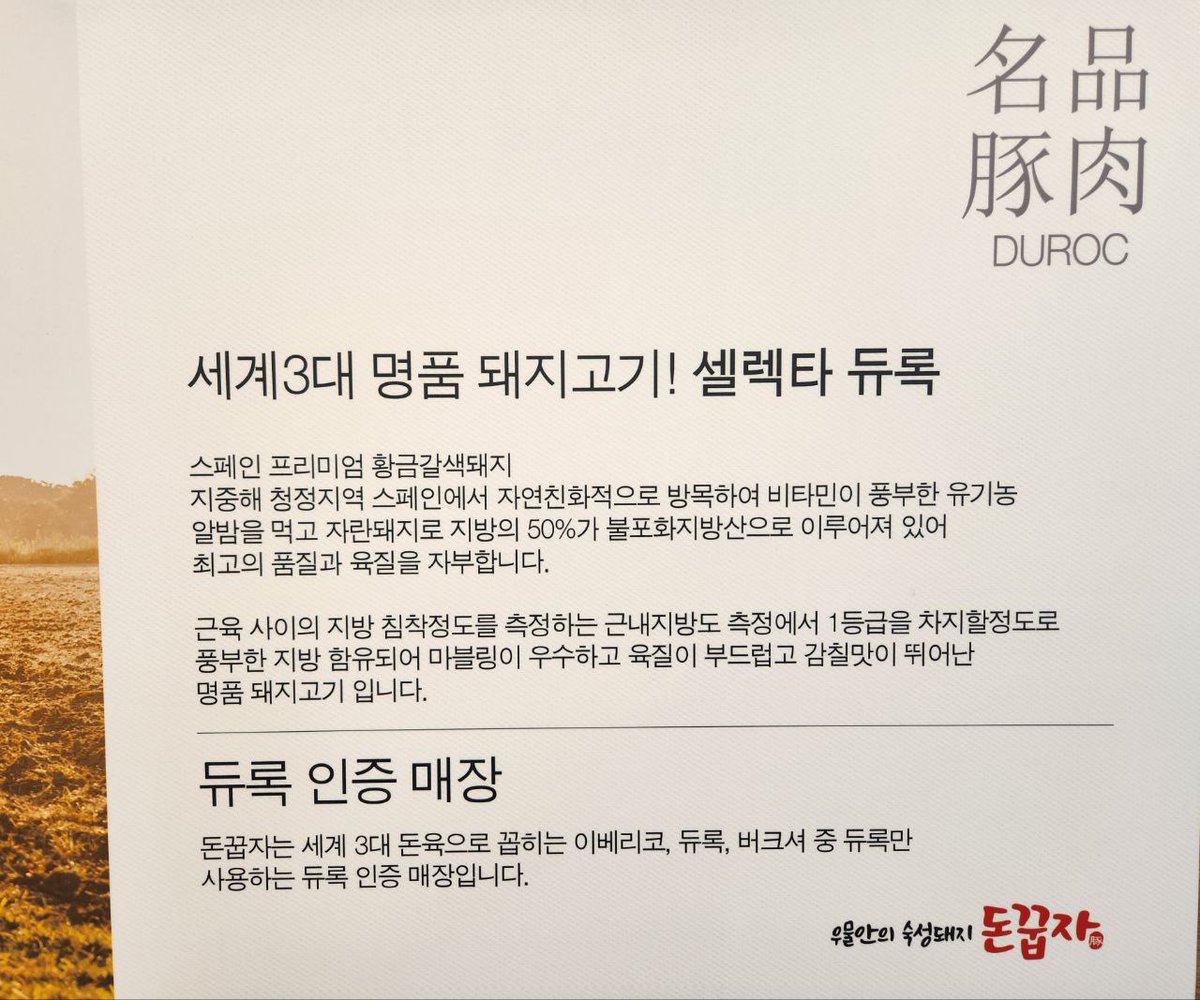 Metamundo tweet media