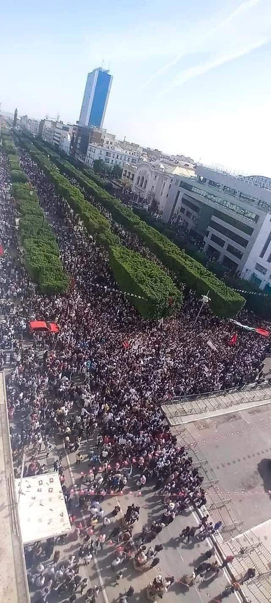 thorayamalol's tweet photo. غزة لن تكون وحدها .. موحدون مع الشعب الفلسطيني ضد آلة الحرب الصهيونية  الاجرامية..🇵🇸🇹🇳

#موقف_تونس
#غزة
#القضية_الفلسطنية
#الحرب_الصهيونية https://t.co/gzx5cCevx2