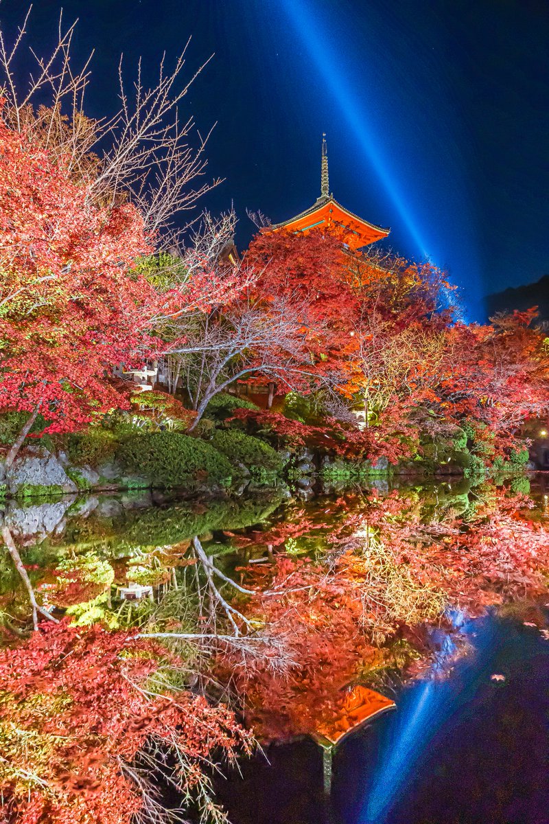 yuya0240's tweet photo. 秋の清水寺のリフレクション https://t.co/rQLEjYI1cY