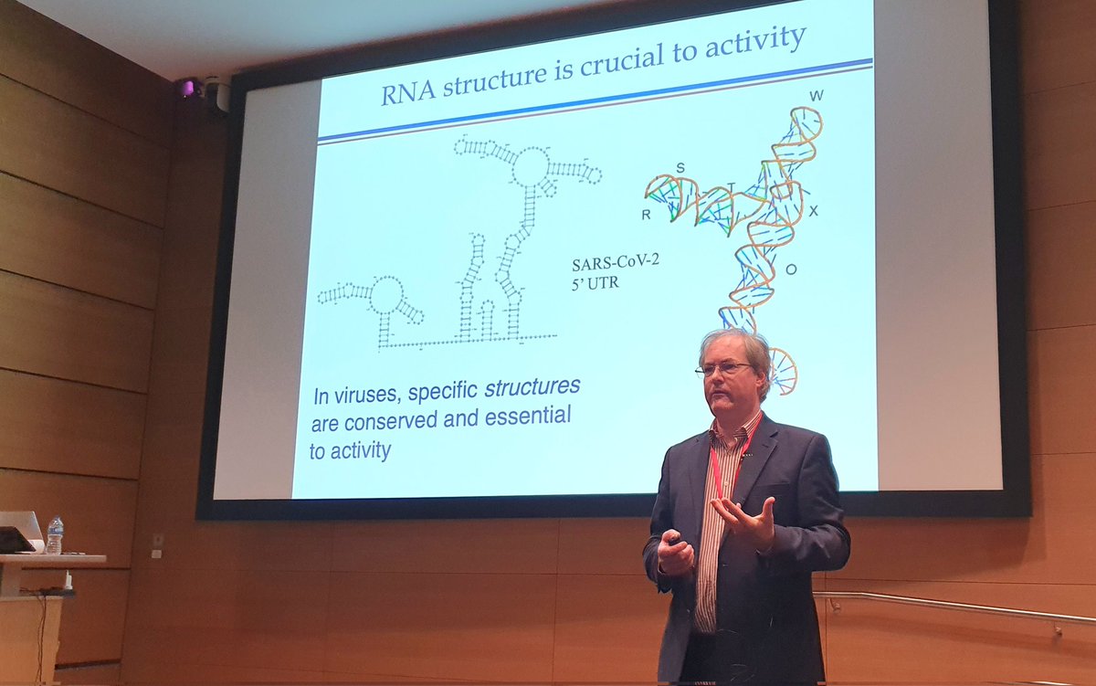 It was great to see @HannonGroup give a presentation today @TheCrick on his exciting new nucleic acids binders to target diseases and viruses 🤩🧬 @UoBChemistry @NucleicAcidsUoB