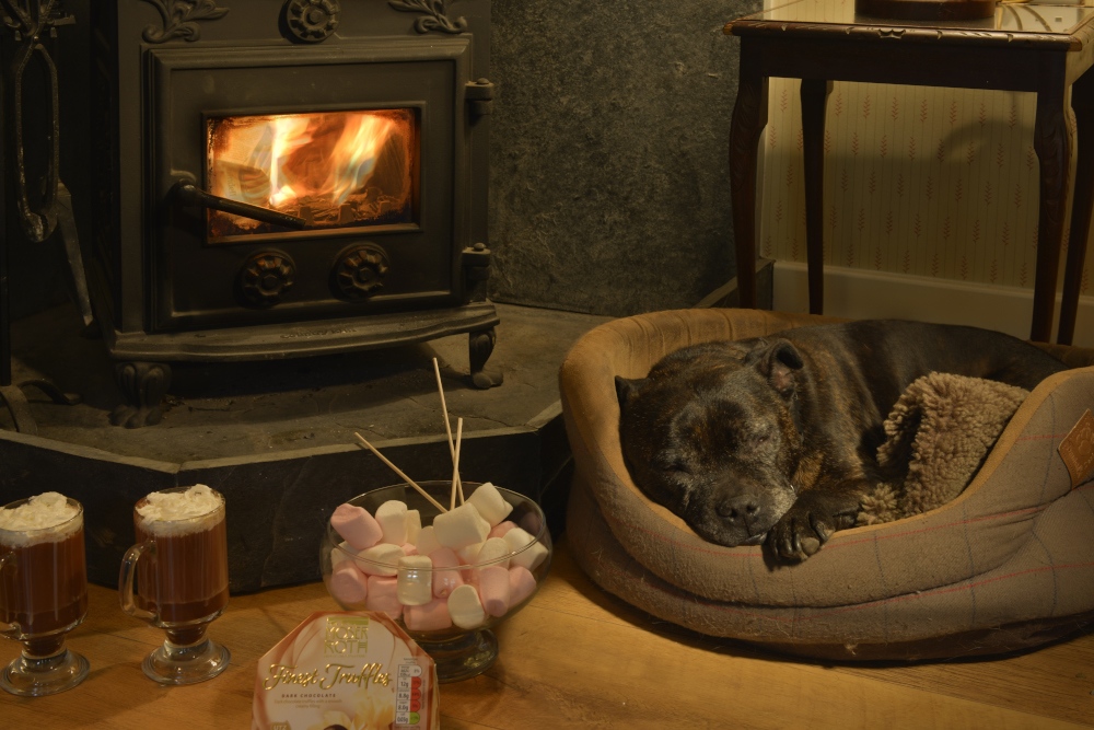 Quantockcottage's tweet photo. Bring your pup to the countryside! Our #dogfriendly Quantock Cottages make the perfect home away from home. With a canine-centric design, you and your pup can relax in the beauty of the countryside. # QuantockCottages #DogLife #CountrysideVibes https://t.co/XU0NbYV6w9